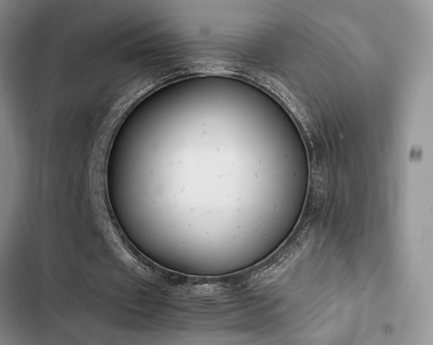 X0000102860433200808181445