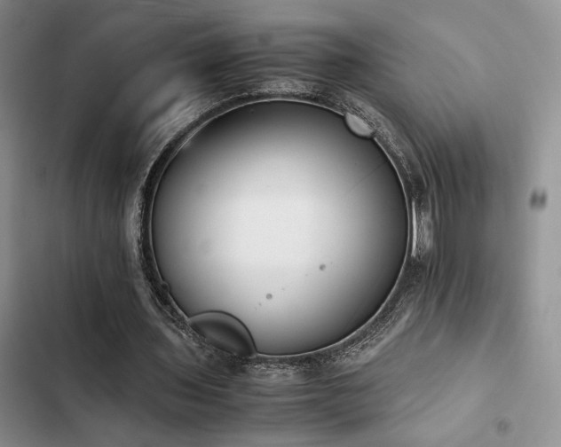 X0000102860435200808181445