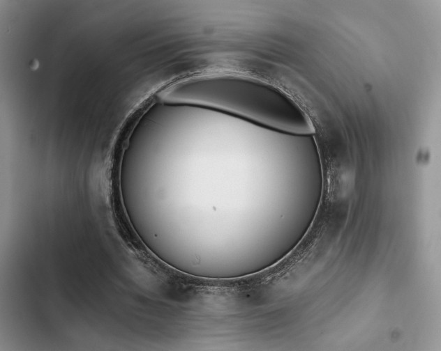 X0000102860436200808181445