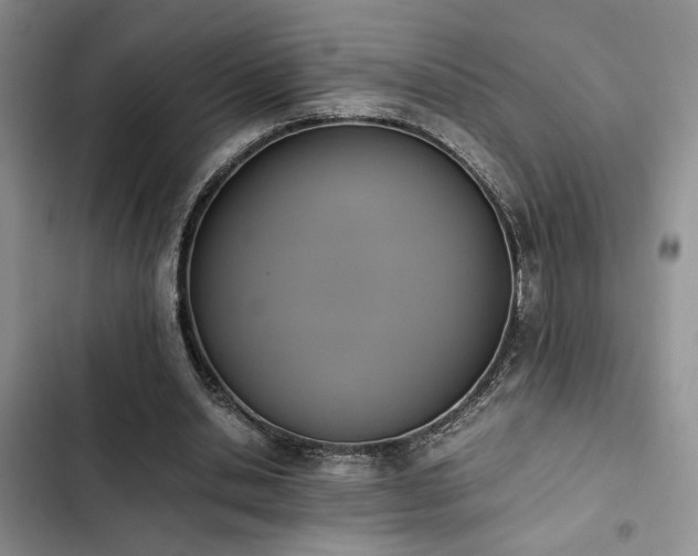 X0000102860438200808181445