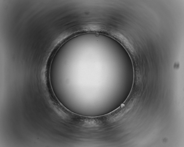 X0000102860439200808181445