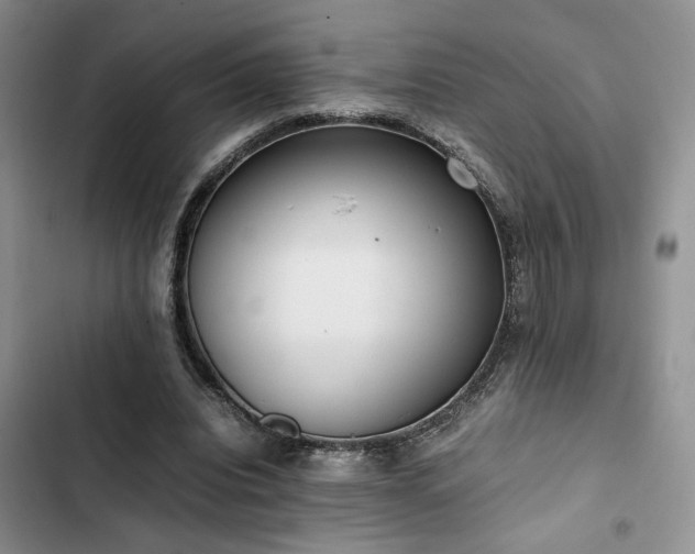 X0000102860440200808181445