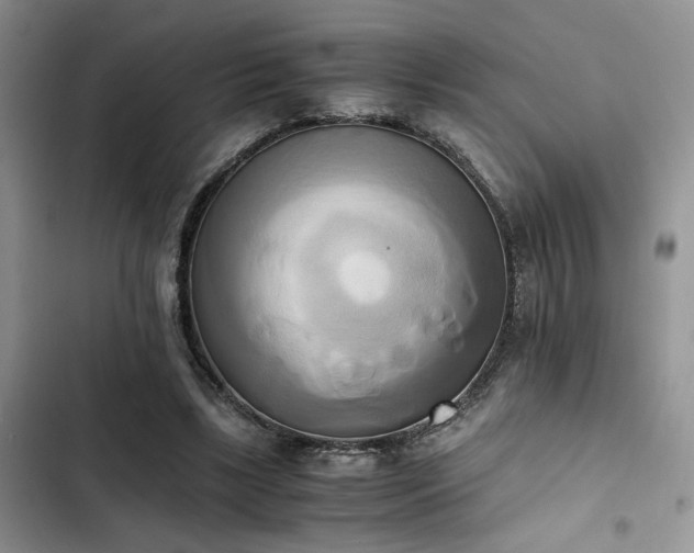 X0000102860443200808181445