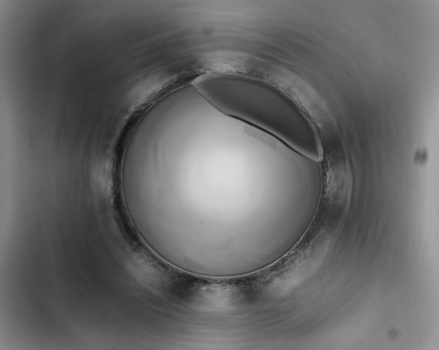 X0000102860444200808181445