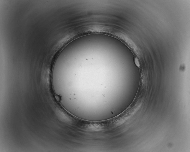 X0000102860445200808181445