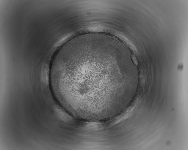 X0000102860446200808181445