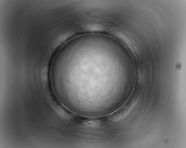 X0000102860447200808181445