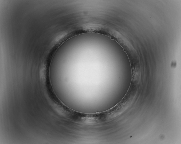 X0000102860448200808181445