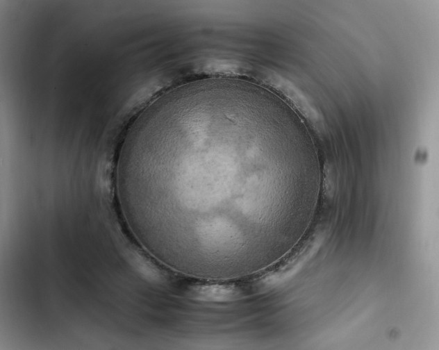 X0000102860449200808181445