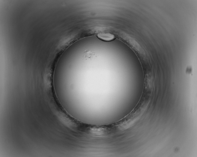 X0000102860450200808181445