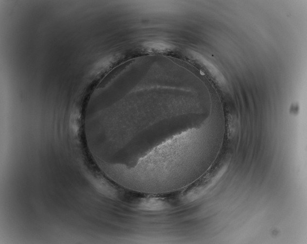 X0000102860451200808181445