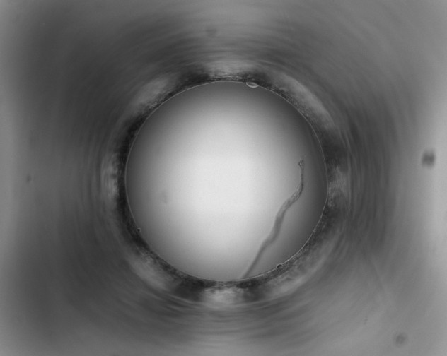 X0000102860452200808181445