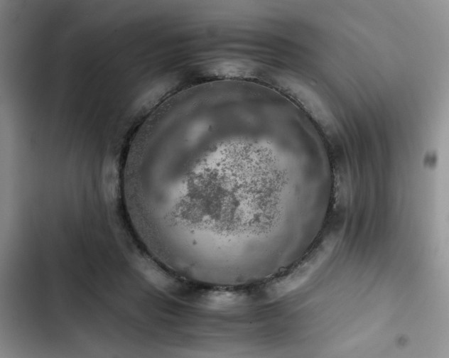 X0000102860453200808181445