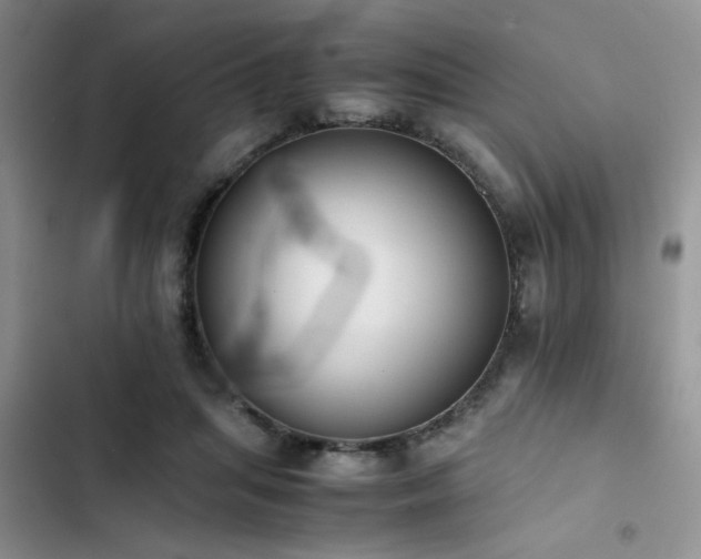 X0000102860455200808181445