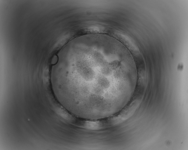 X0000102860457200808181445