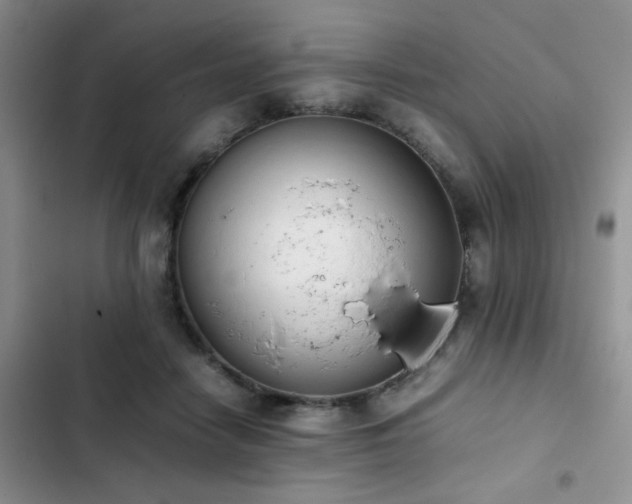 X0000102860458200808181445