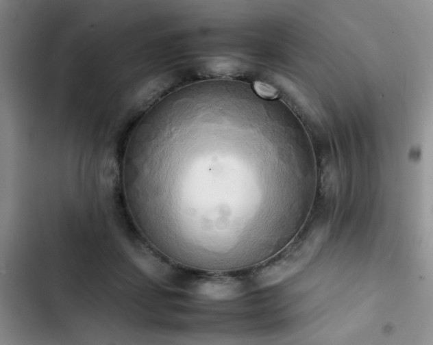 X0000102860459200808181445