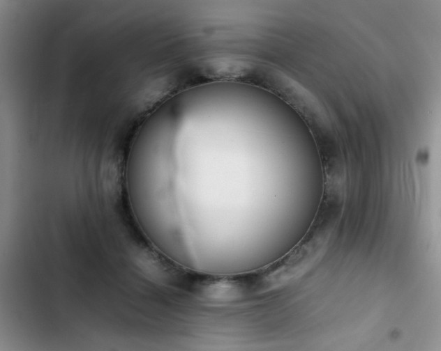 X0000102860460200808181445