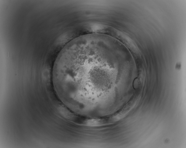 X0000102860461200808181446