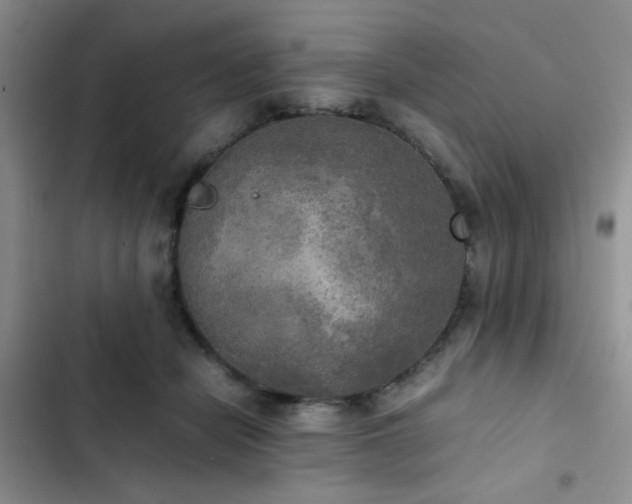 X0000102860462200808181446