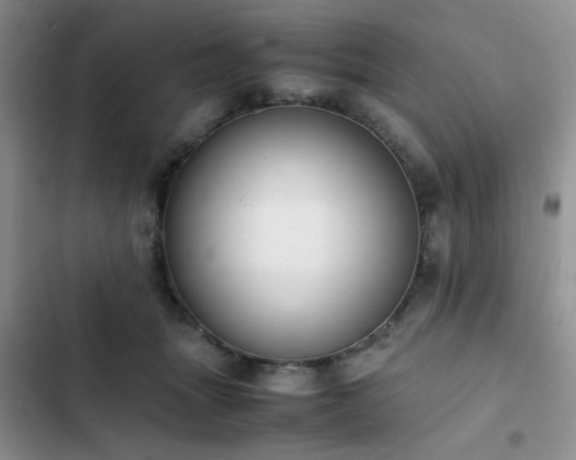 X0000102860463200808181446