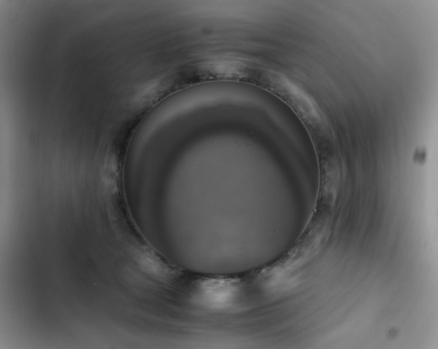 X0000102860465200808181446