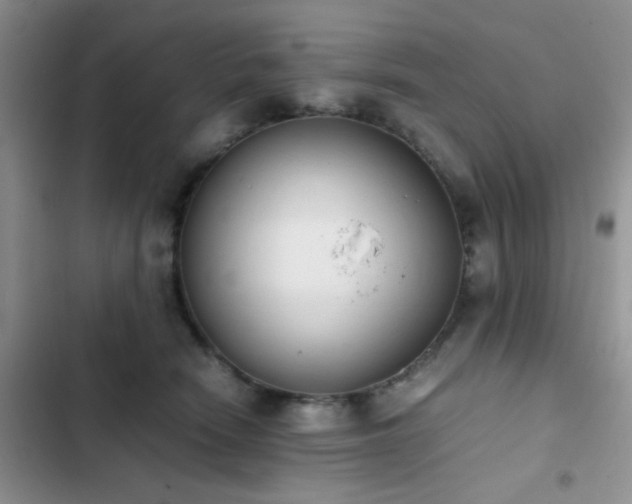 X0000102860466200808181446