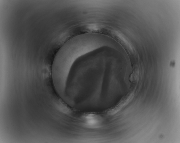 X0000102860467200808181446