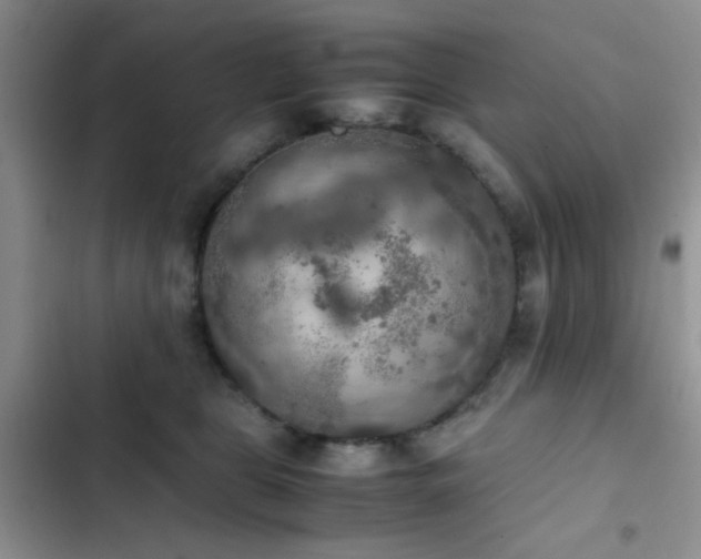 X0000102860469200808181446