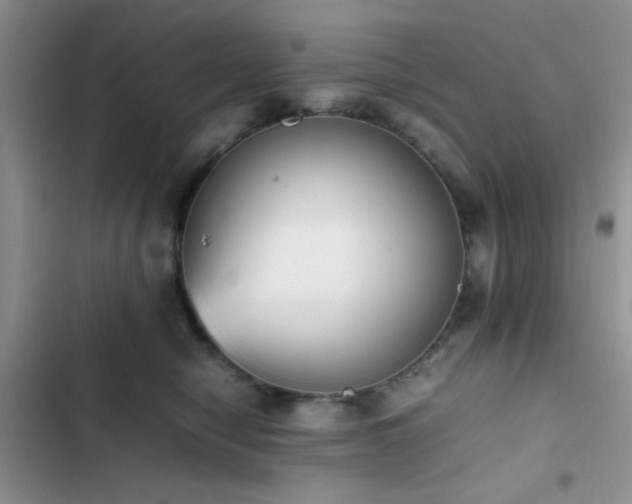 X0000102860470200808181446