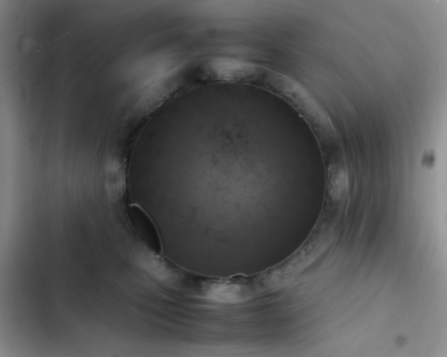 X0000102860471200808181446