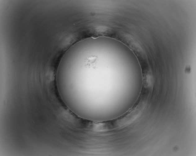 X0000102860472200808181446