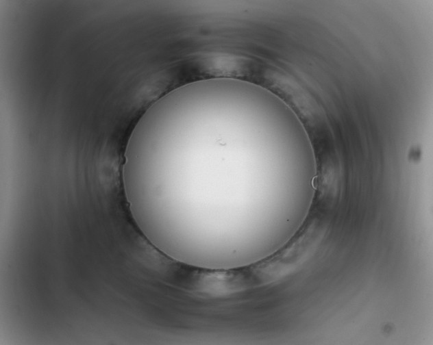 X0000102860473200808181446