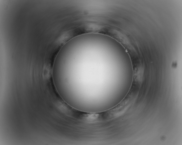 X0000102860474200808181446