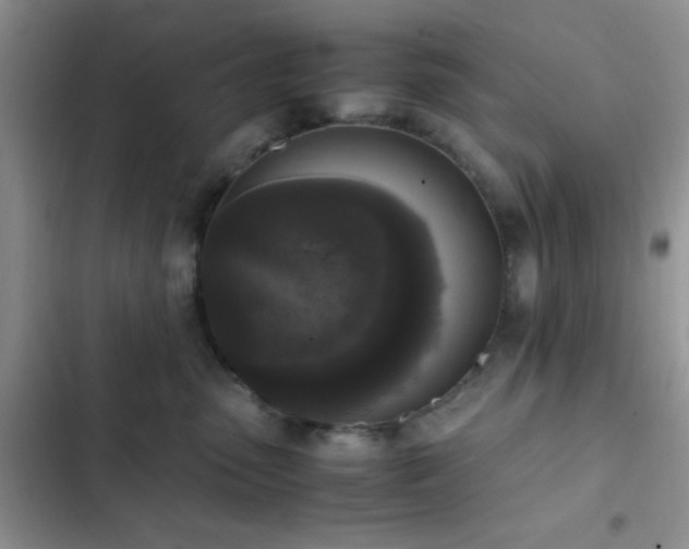 X0000102860475200808181446