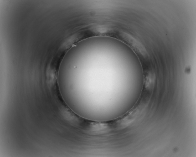 X0000102860476200808181446