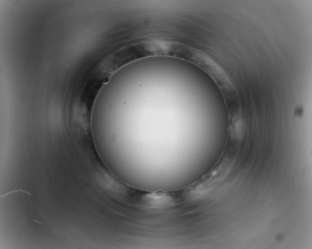 X0000102860477200808181446