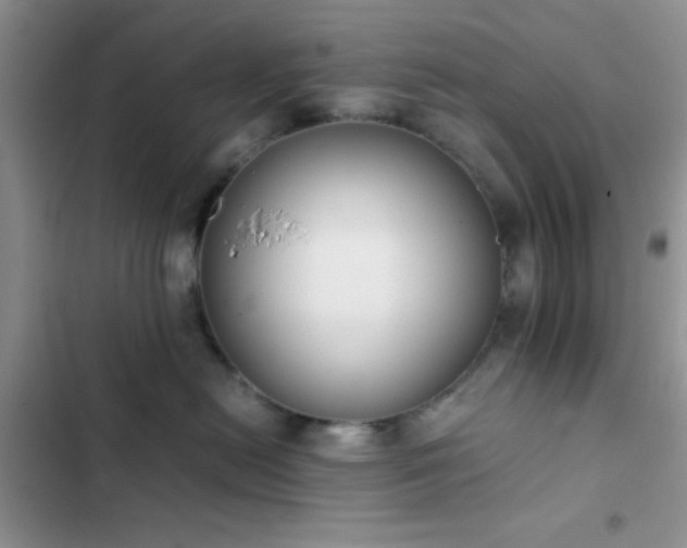 X0000102860478200808181446