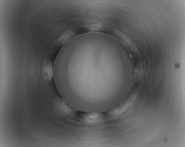 X0000102860479200808181446