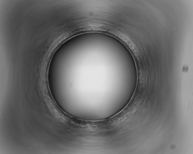 X0000102860481200808181445