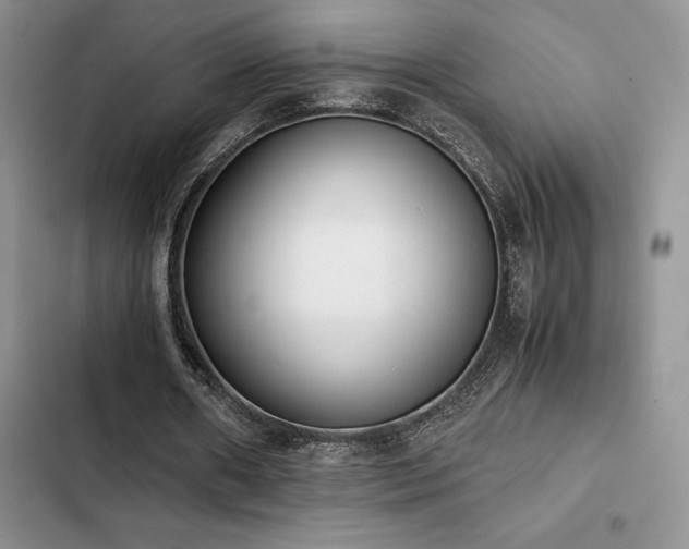 X0000102860482200808181445