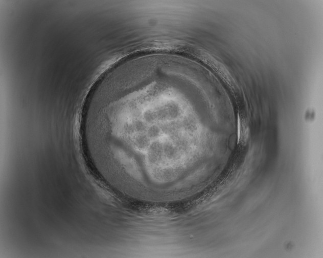 X0000102860483200808181445