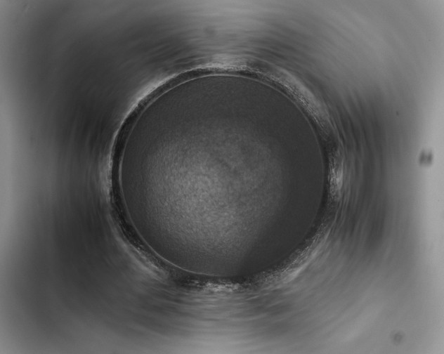 X0000102860484200808181445