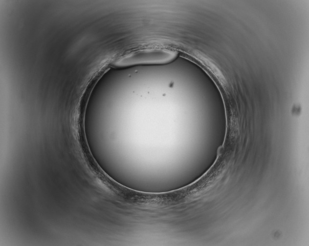 X0000102860485200808181445