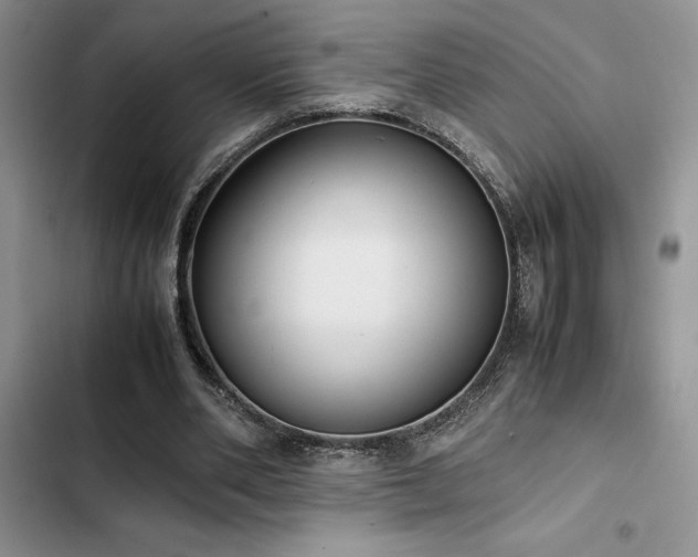 X0000102860486200808181445