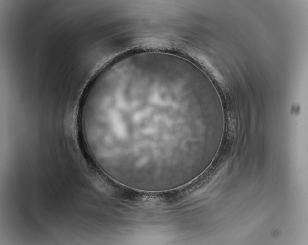 X0000102860487200808181445