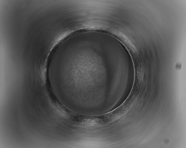 X0000102860488200808181445