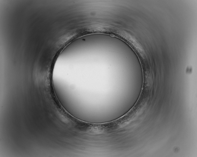 X0000102860489200808181445