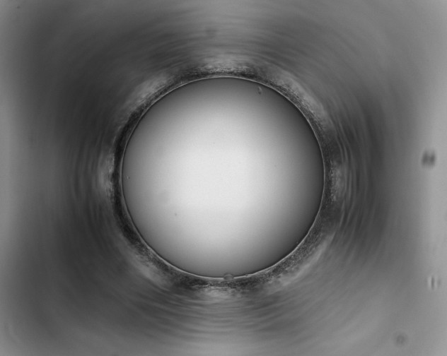 X0000102860490200808181445