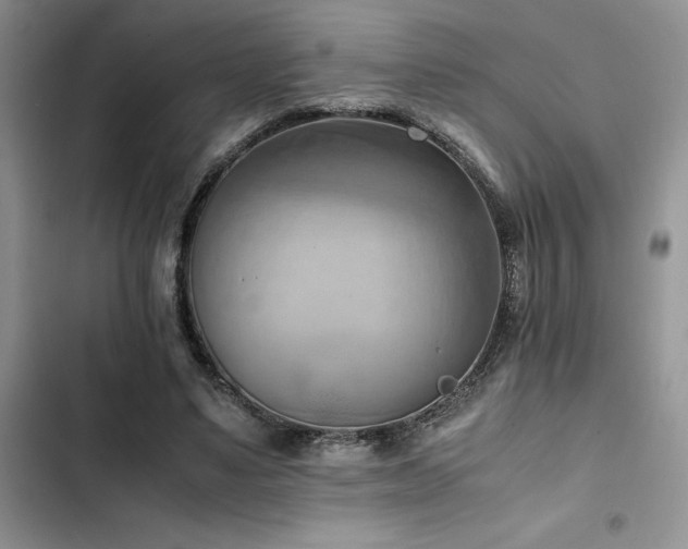 X0000102860491200808181445